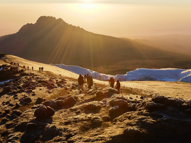 Kilimanjaro – 8 Days Lemosho Route