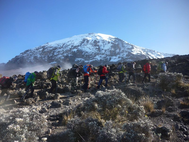 Kilimanjaro – 9 Days Lemosho Route