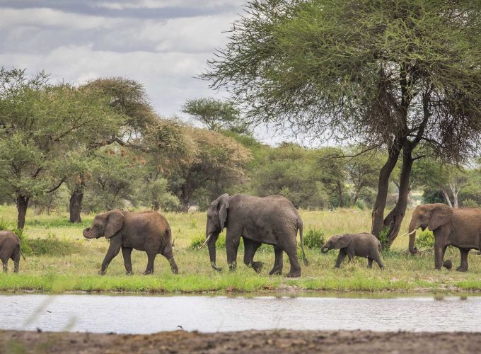 6 Days Perfect Camping Safari