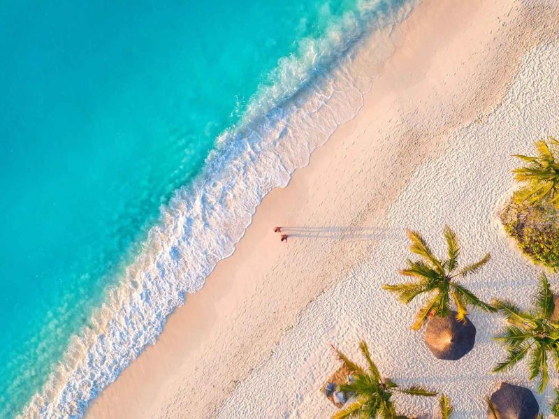 From Zanzibar: Day Safari to Selous Game Reserve with flight