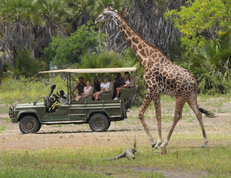 Day 1: Zanzibar to Selous Game Reserve
